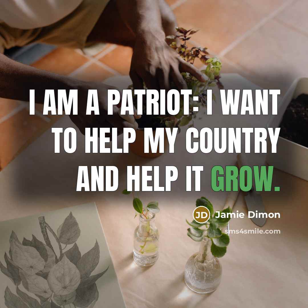 “I am a patriot: I want to help my country…” quote by Jamie Dimon