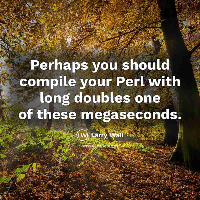 “Perhaps you should compile your Perl with long doubles one of these megaseconds.” quote by Larry Wall