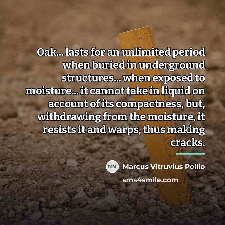 “Oak... lasts for an unlimited period when buried in underground…” quote by Marcus Vitruvius Pollio
