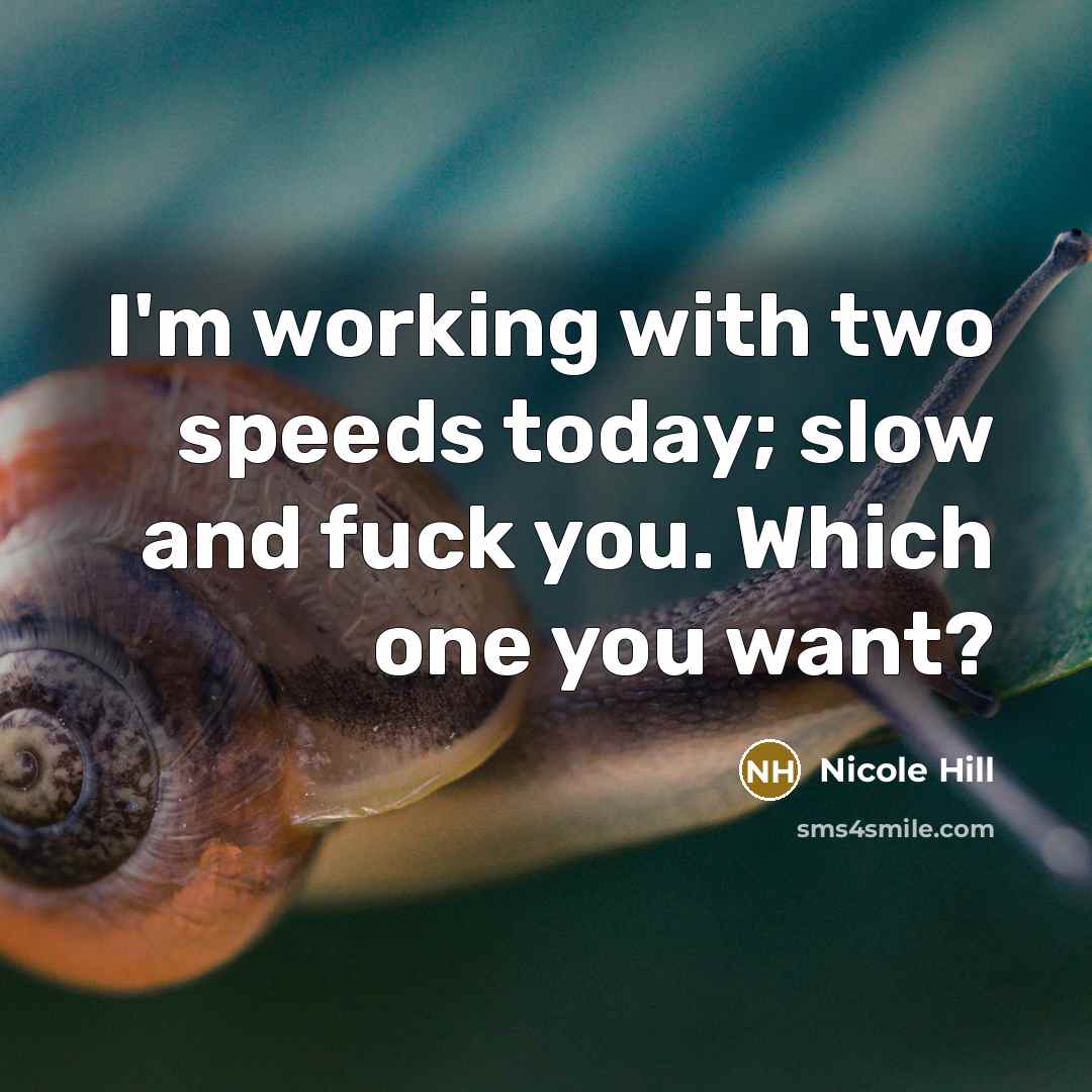 “I'm working with two speeds today; slow and fuck you.…” quote by Nicole Hill