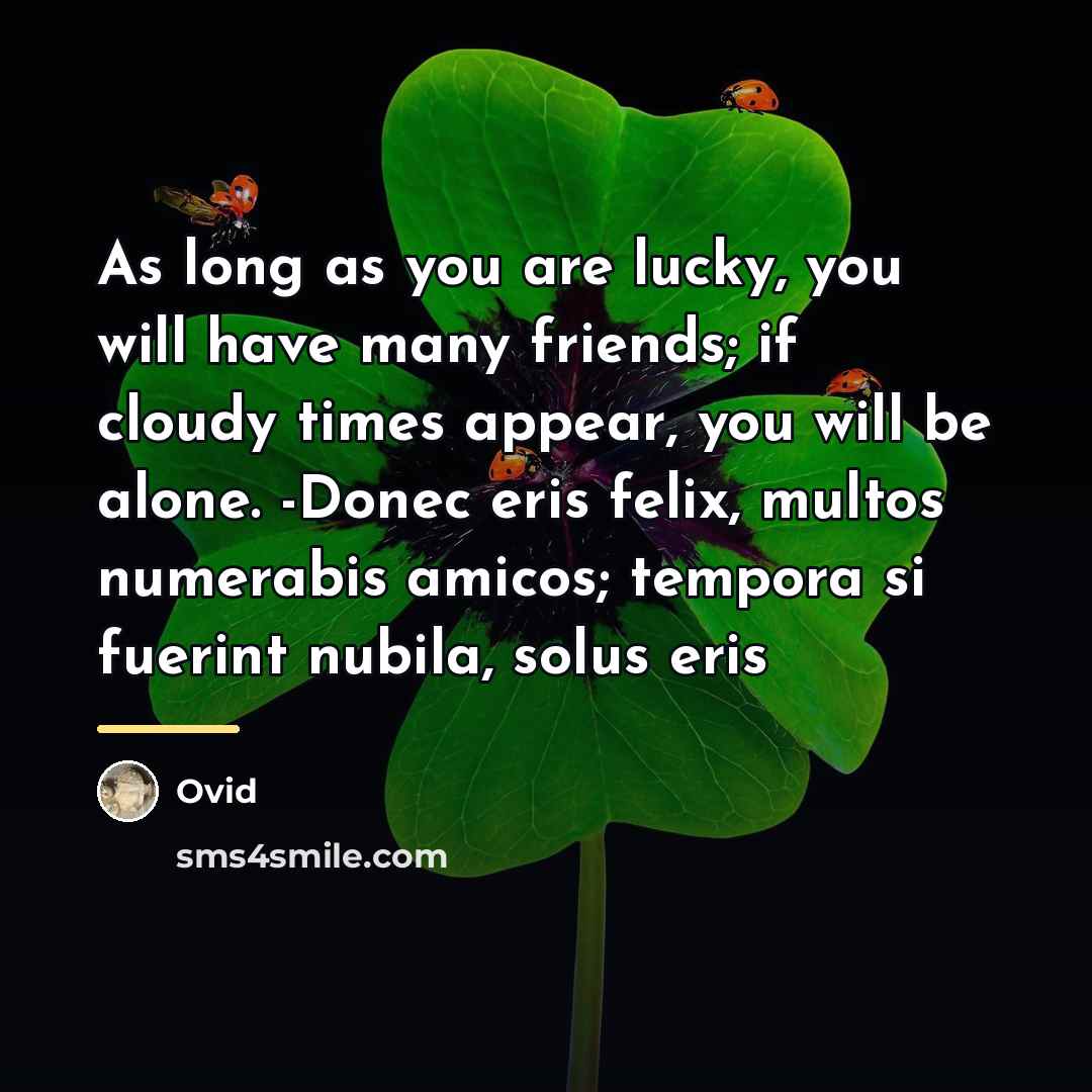 “As long as you are lucky, you will have many…” quote by Ovid