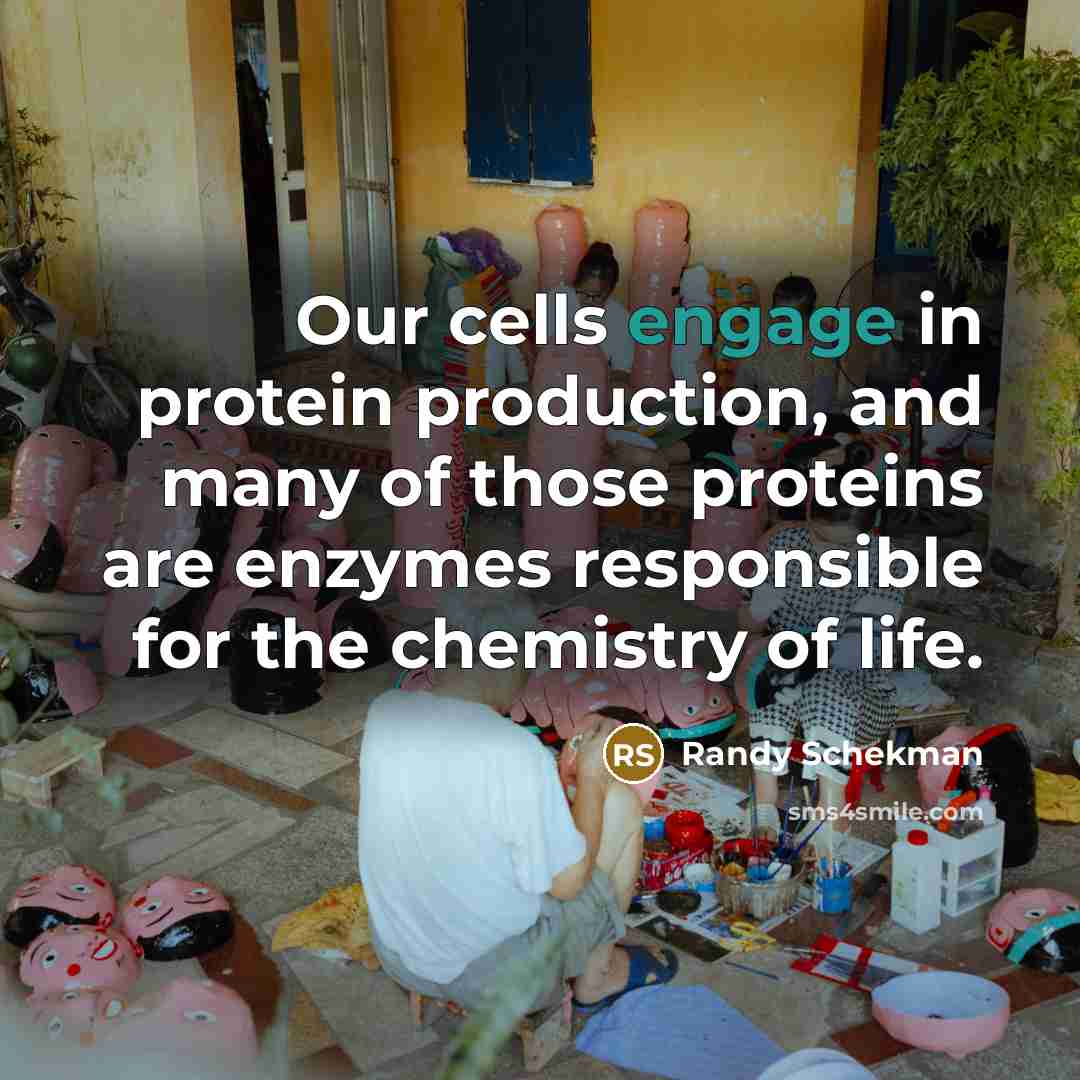 “Our cells engage in protein production, and many of those…” quote by Randy Schekman