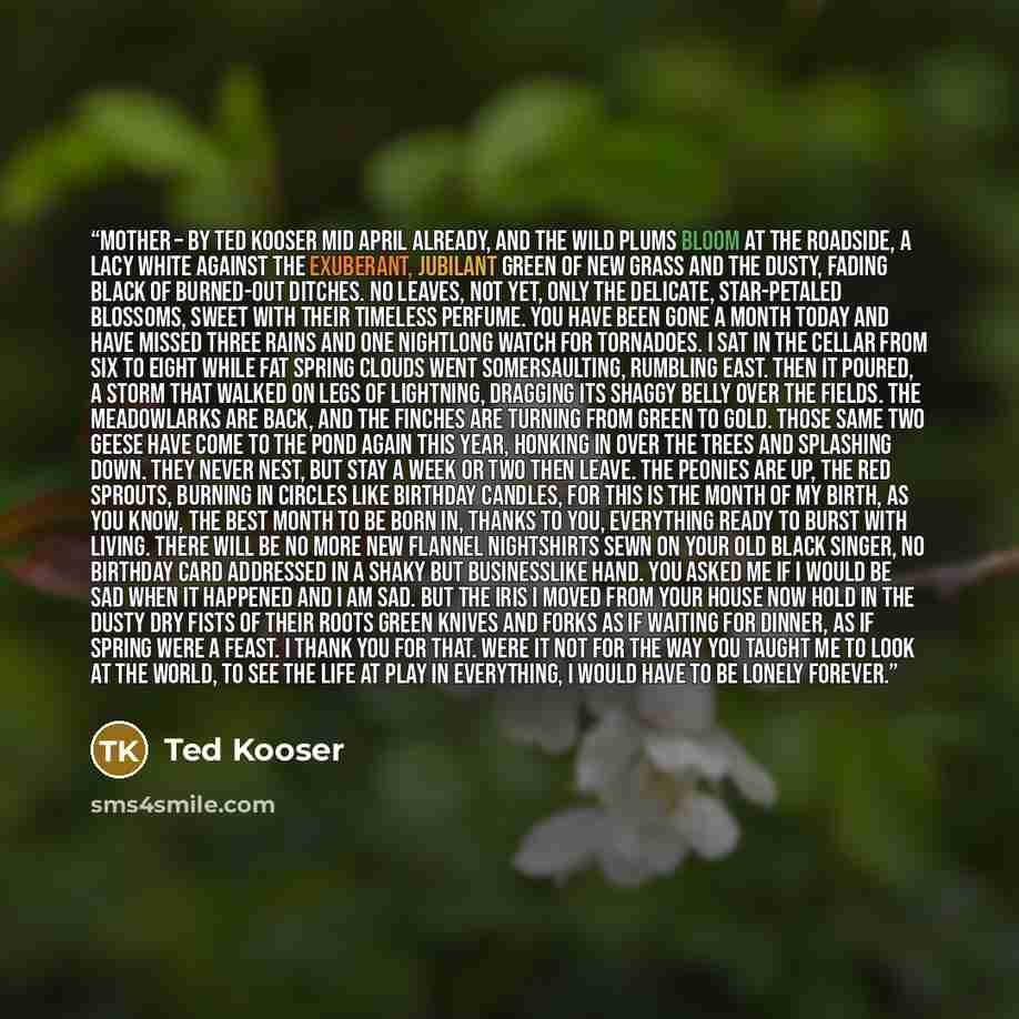 “MOTHER – By Ted Kooser Mid April already, and the wild plums bloom at the roadside, a lacy white against the exuberant, jubilant green of new grass and the dusty, fading black of burned-out ditches. No leaves, not yet, only the delicate, star-petaled blossoms, sweet with their timeless perfume…” quote by Ted Kooser