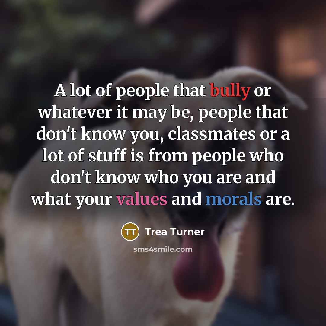 “A lot of people that bully or whatever it may be, people that don't know you, classmates or a lot of stuff is from people who don't know who you are and what your values and morals are.” quote by Trea Turner