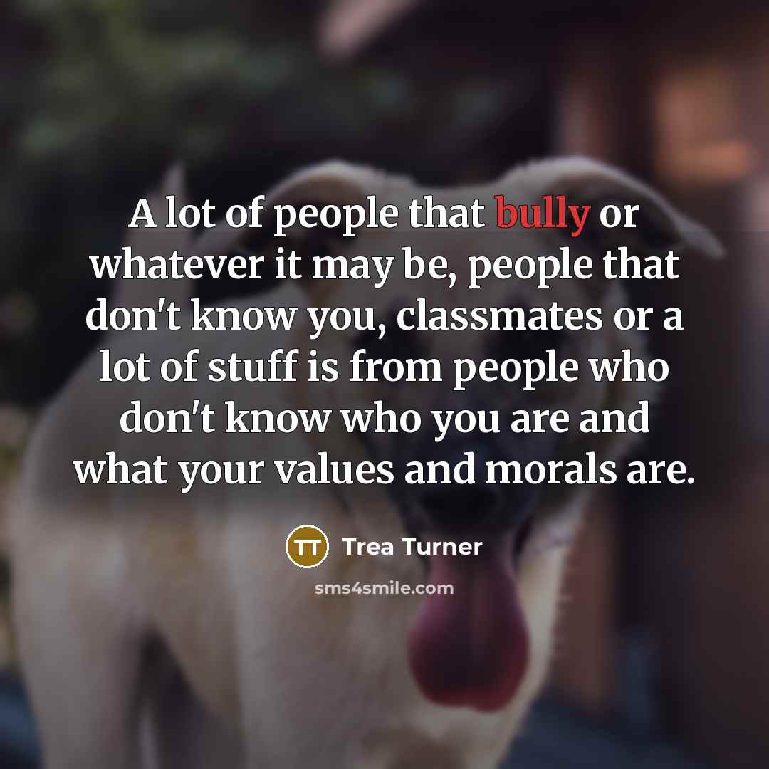 “A lot of people that bully or whatever it may…” quote by Trea Turner