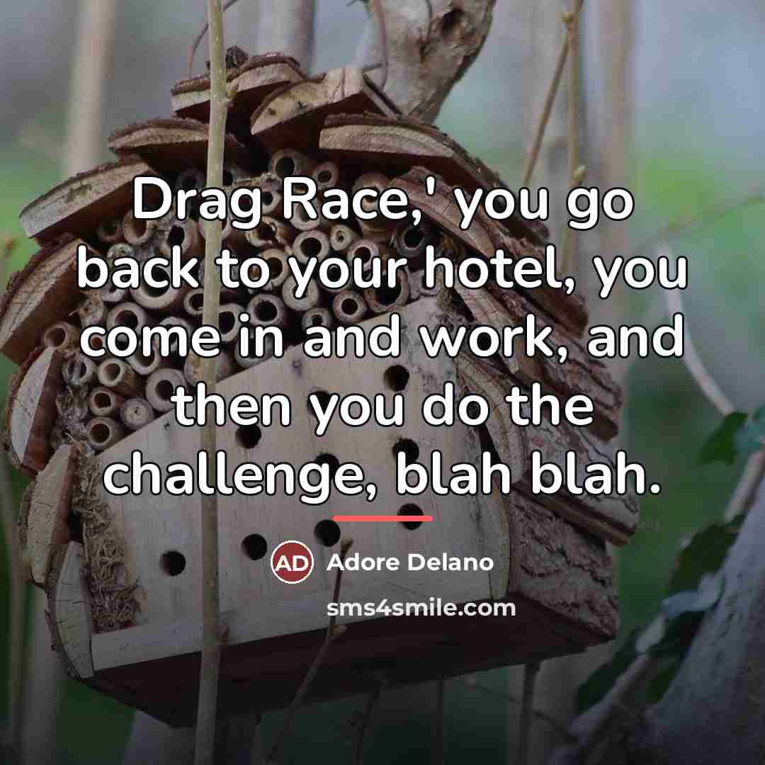 “Drag Race,' you go back to your hotel, you come…” quote by Adore Delano