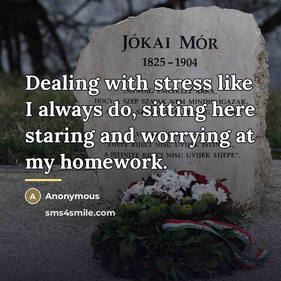 “Dealing with stress like I always do, sitting here staring…” quote by Anonymous