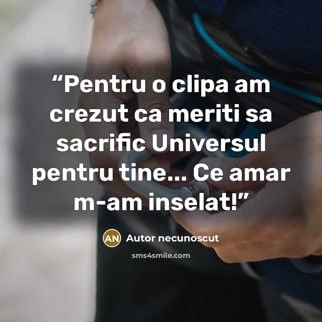 “Pentru o clipa am crezut ca meriti sa sacrific Universul pentru tine... Ce amar m-am inselat!” quote by Autor necunoscut