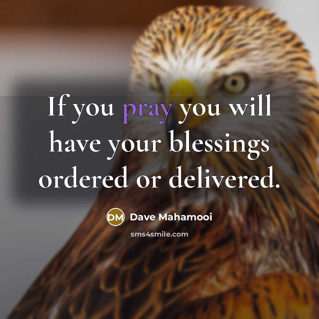 “If you pray you will have your blessings ordered or…” quote by Dave Mahamooi