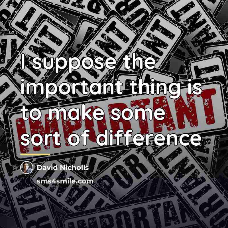 “I suppose the important thing is to make some sort…” quote by David Nicholls
