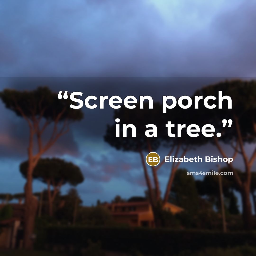 “Screen porch in a tree.” quote by Elizabeth Bishop