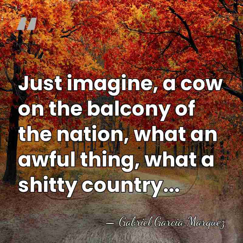Just imagine, a cow on the balcony of the nation, what an&hellip; - Gabriel Garcia Marquez