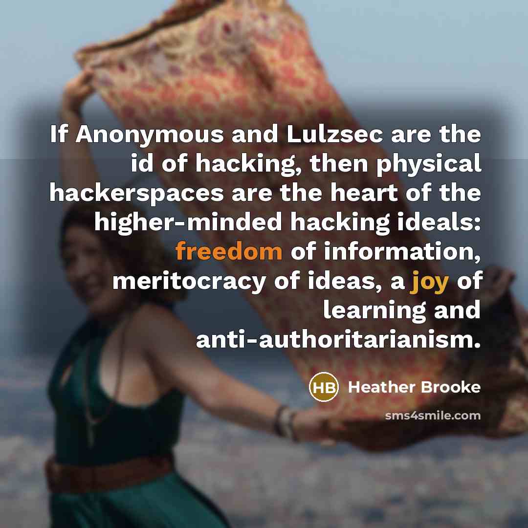 “If Anonymous and Lulzsec are the id of hacking, then…” quote by Heather Brooke
