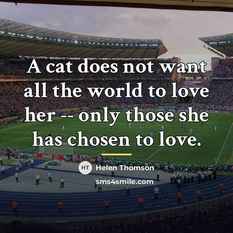 “A cat does not want all the world to love…” quote by Helen Thomson