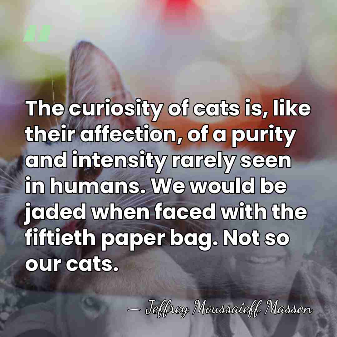 The curiosity of cats is, like their affection, of a purity and&hellip; - Jeffrey Moussaieff Masson