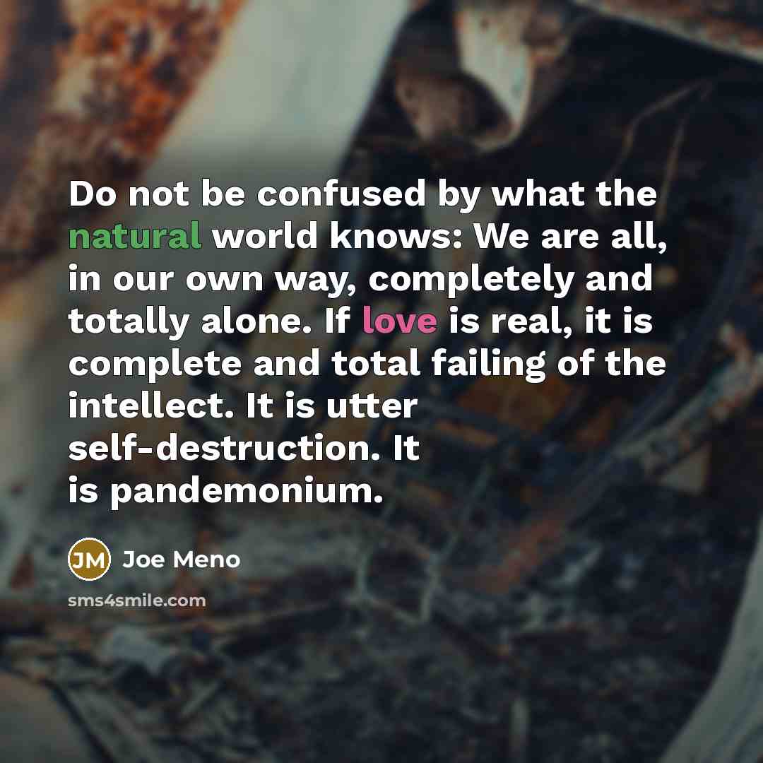 “Do not be confused by what the natural world knows:…” quote by Joe Meno