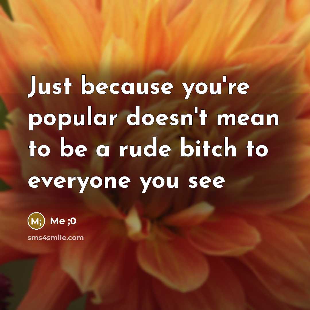 “Just because you're popular doesn't mean to be a rude…” quote by Me ;0