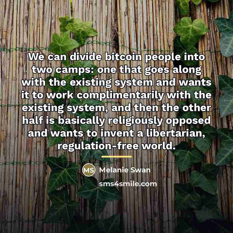 “We can divide bitcoin people into two camps: one that…” quote by Melanie Swan