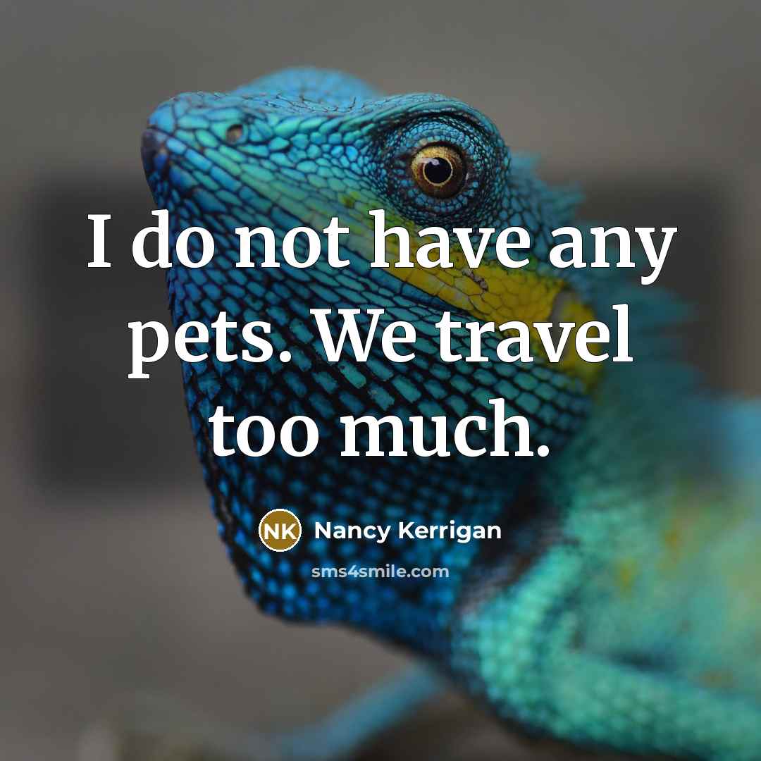 “I do not have any pets. We travel too much.” quote by Nancy Kerrigan