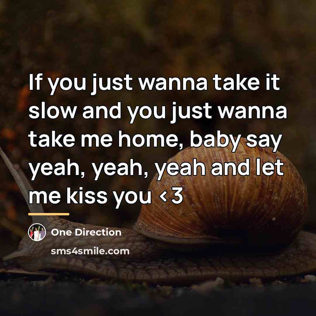 “If you just wanna take it slow and you just…” quote by One Direction