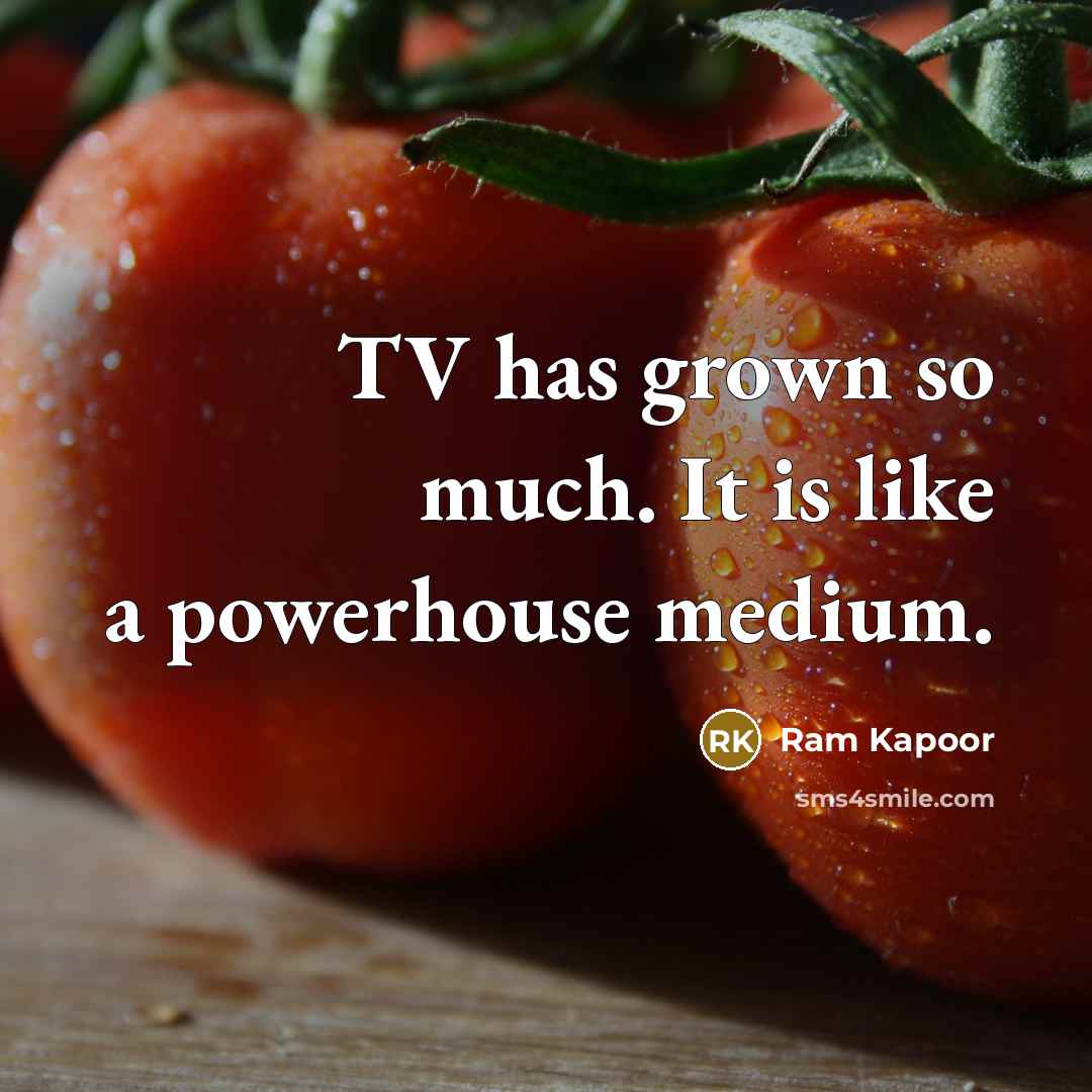 “TV has grown so much. It is like a powerhouse…” quote by Ram Kapoor