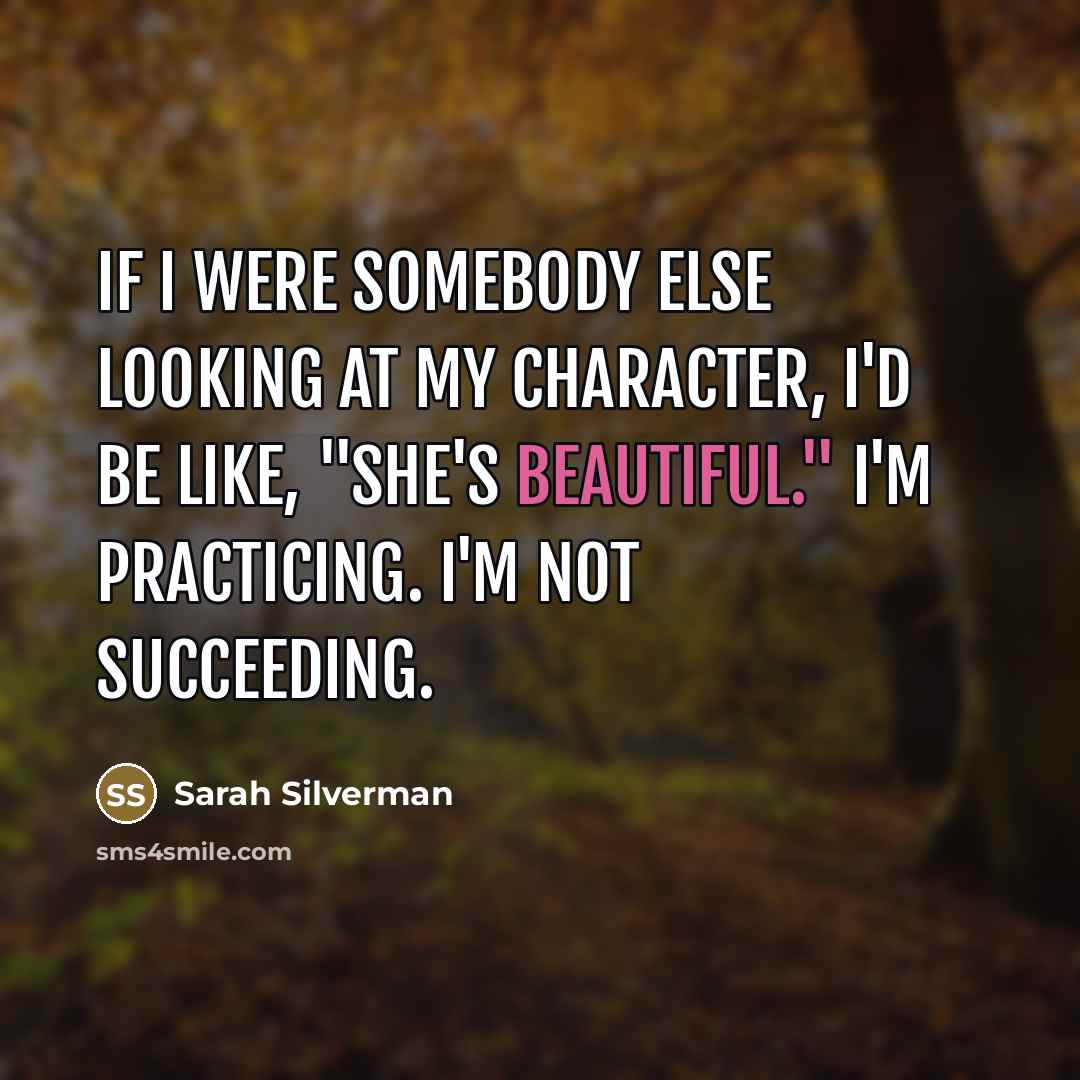 “If I were somebody else looking at my character, I'd…” quote by Sarah Silverman