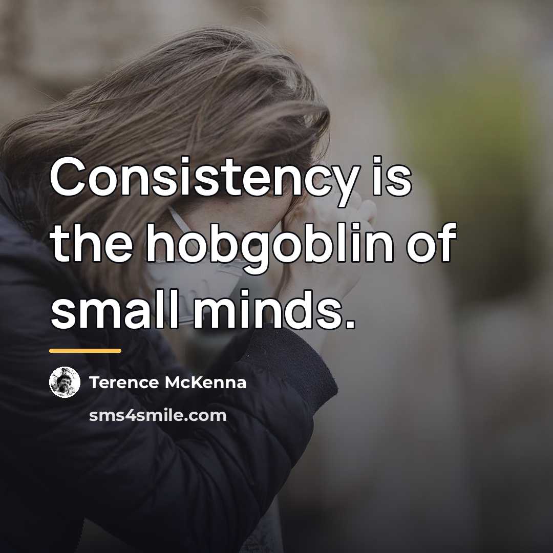 “Consistency is the hobgoblin of small minds.…” quote by Terence McKenna