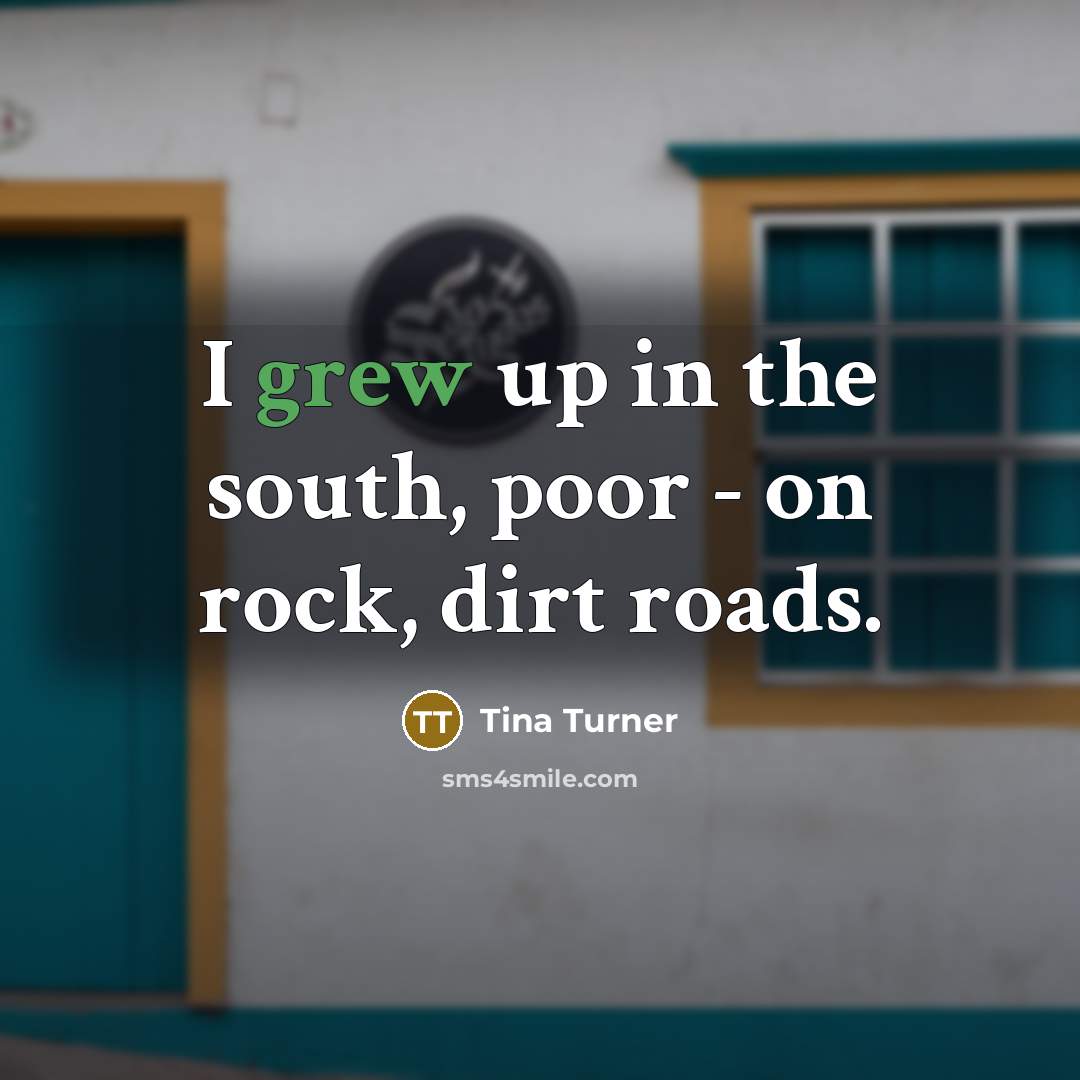 “I grew up in the south, poor - on rock,…” quote by Tina Turner