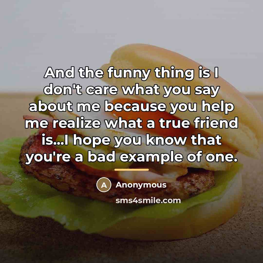 “And the funny thing is I don't care what you…” quote by Anonymous