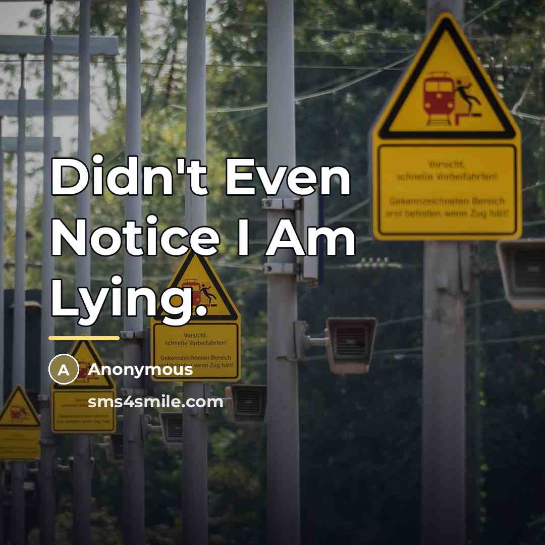 “Didn't Even Notice I Am Lying.…” quote by Anonymous