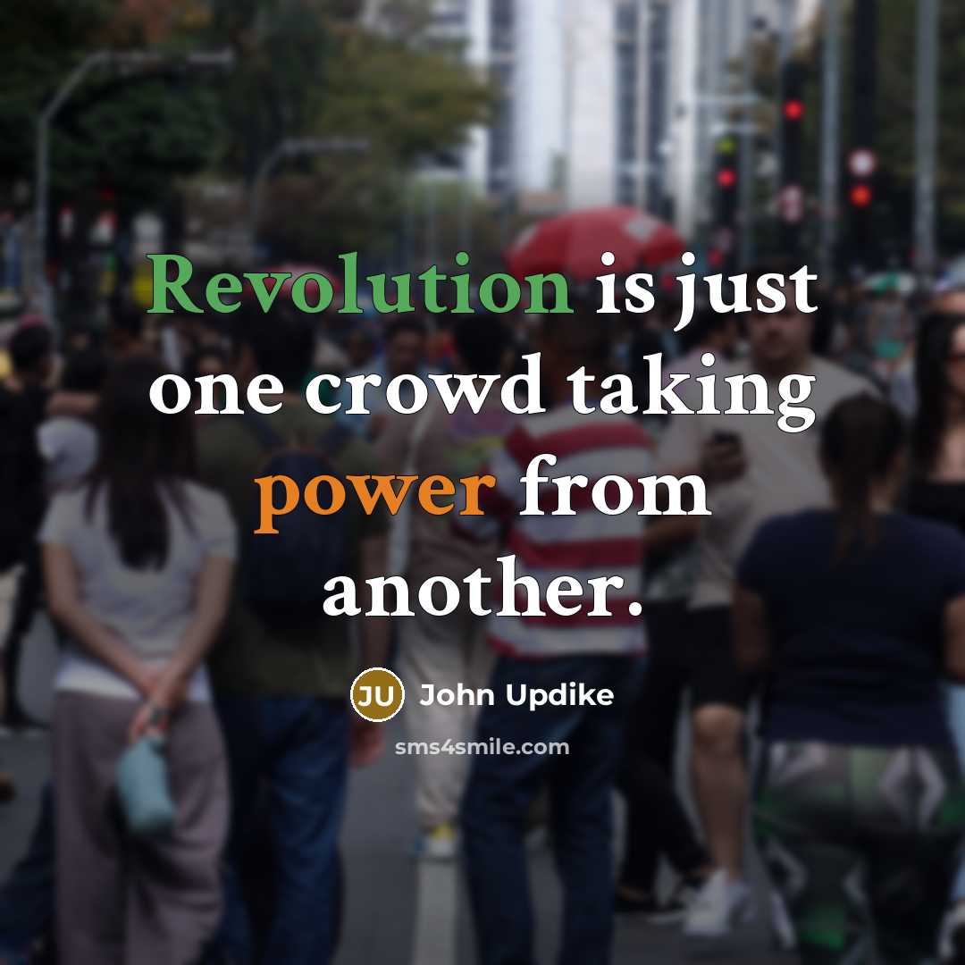 “Revolution is just one crowd taking power from another.” quote by John Updike