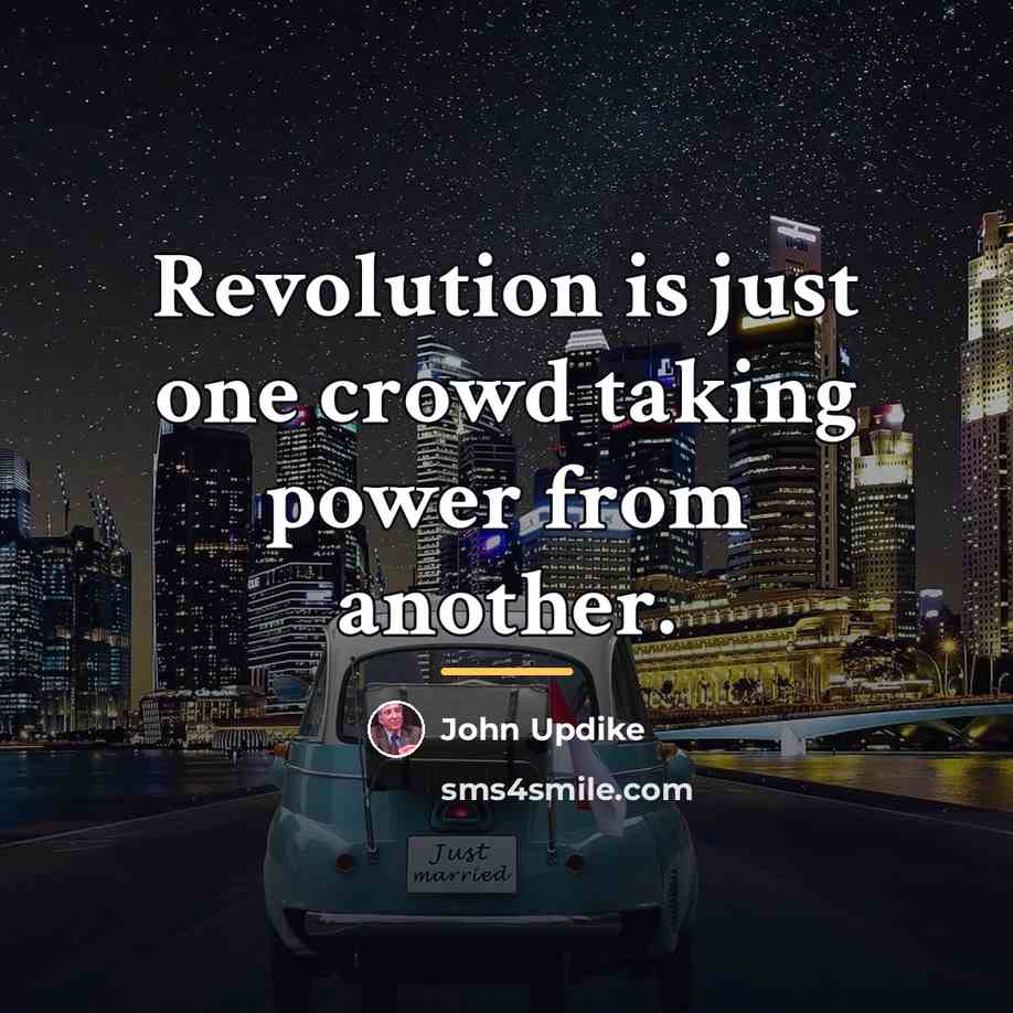 “Revolution is just one crowd taking power from another.…” quote by John Updike