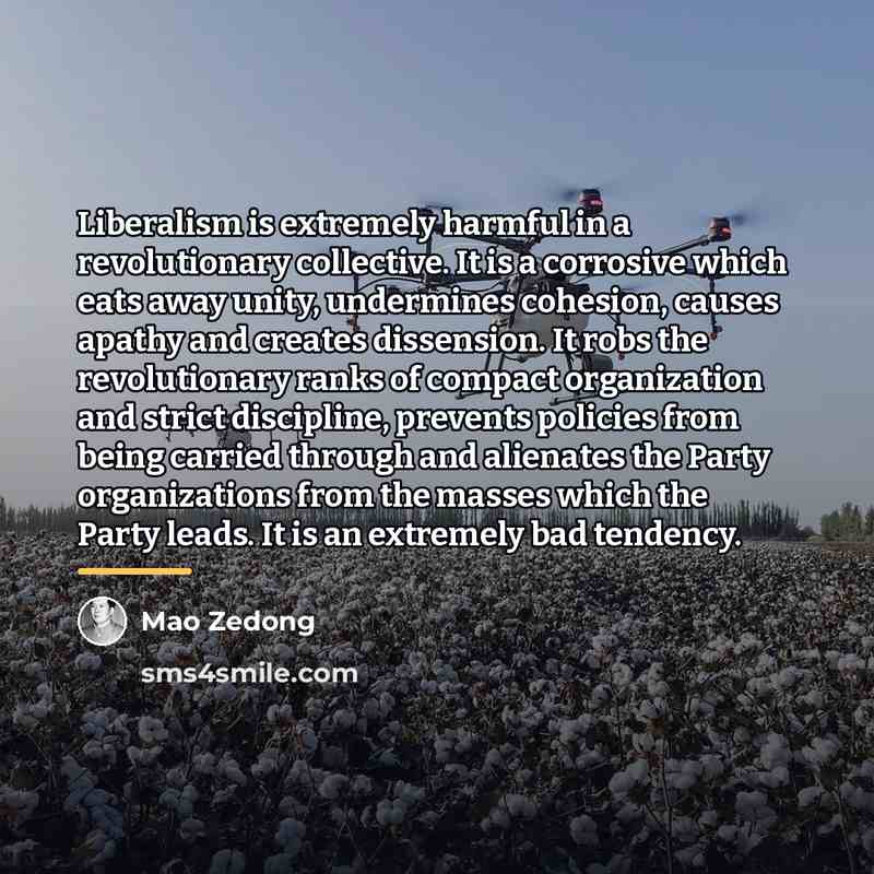 “Liberalism is extremely harmful in a revolutionary collective. It is…” quote by Mao Zedong