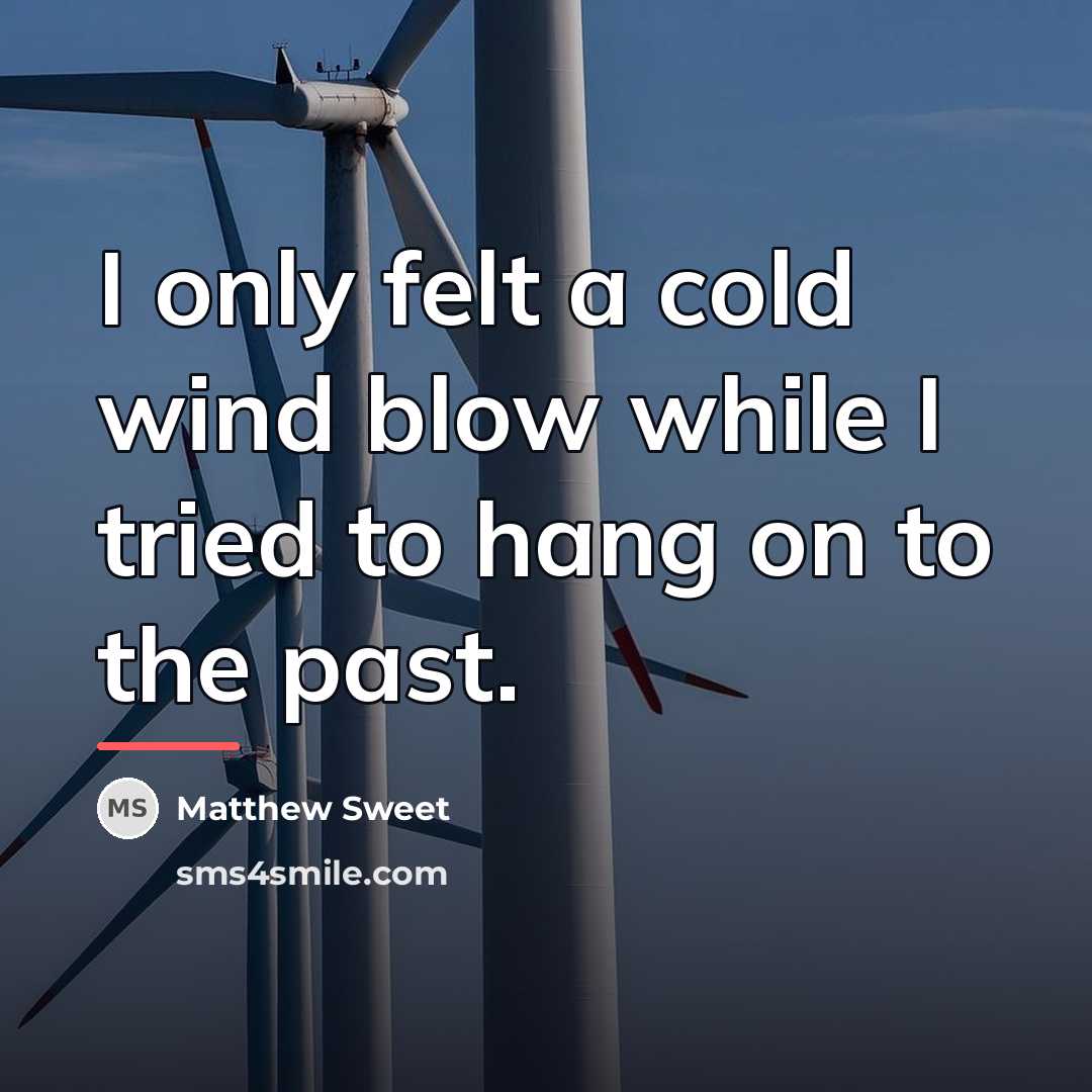 “I only felt a cold wind blow while I tried…” quote by Matthew Sweet