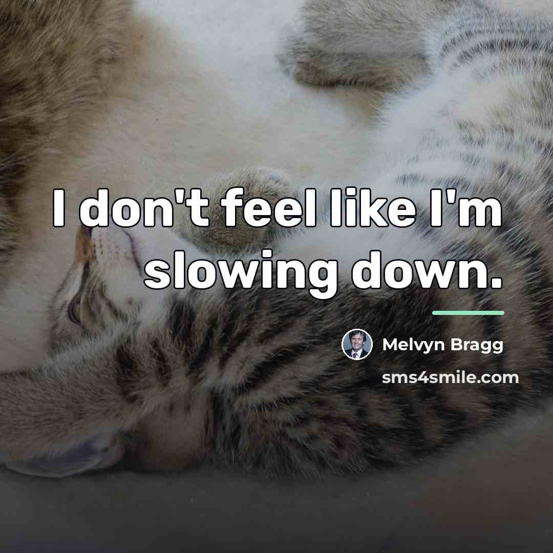 “I don't feel like I'm slowing down.…” quote by Melvyn Bragg