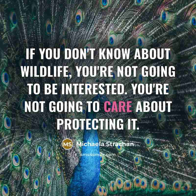 “If you don't know about wildlife, you're not going to…” quote by Michaela Strachan