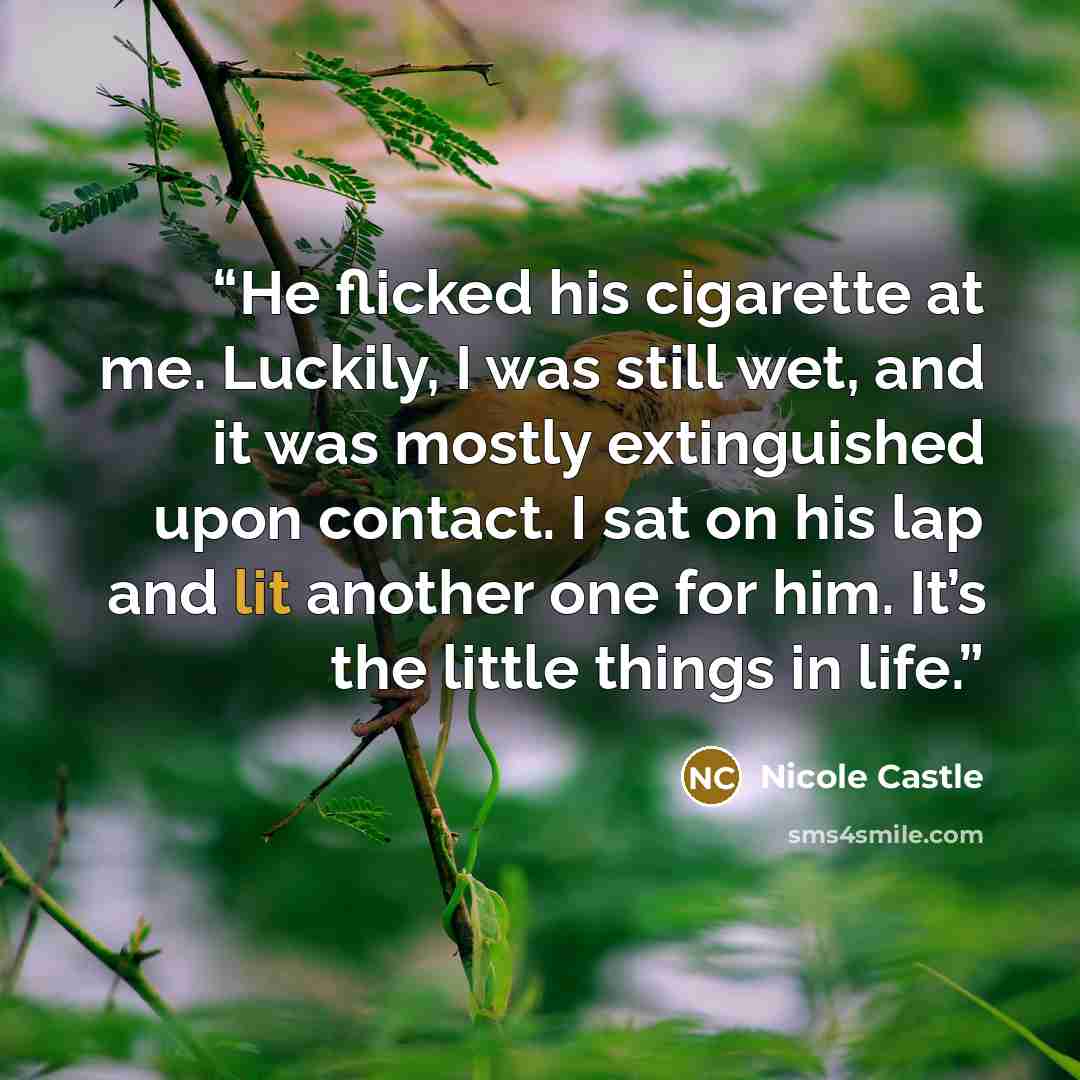 “He flicked his cigarette at me. Luckily, I was still wet, and it was mostly extinguished upon contact. I sat on his lap and lit another one for him. It’s the little things in life.” quote by Nicole Castle