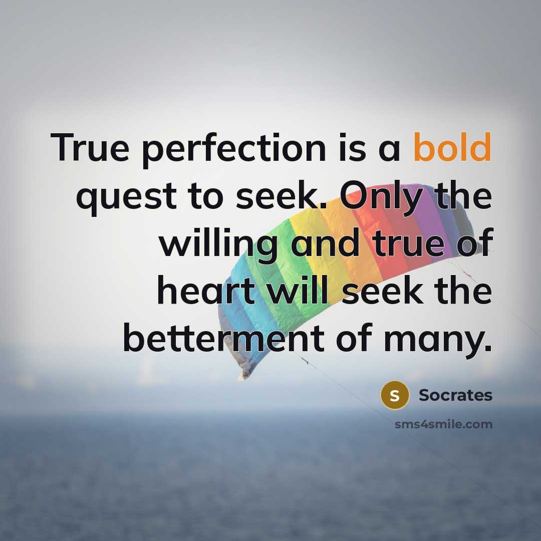 “True perfection is a bold quest to seek. Only the…” quote by Socrates