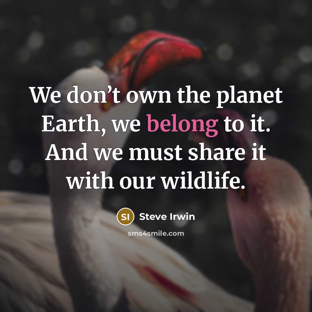 “We don’t own the planet Earth, we belong to it.…” quote by Steve Irwin