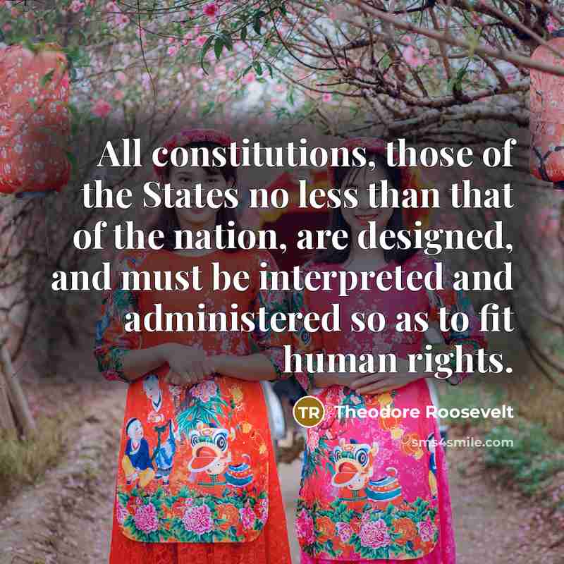 “All constitutions, those of the States no less than that…” quote by Theodore Roosevelt