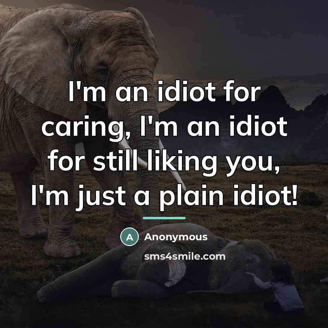 “I'm an idiot for caring, I'm an idiot for still liking you, I'm just a plain idiot!” quote by Anonymous