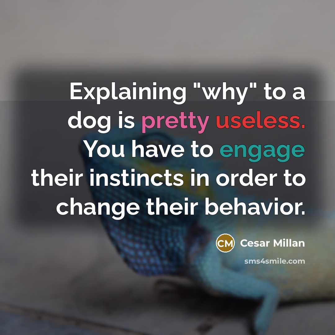 “Explaining "why" to a dog is pretty useless. You have to engage their instincts in order to change their behavior.” quote by Cesar Millan