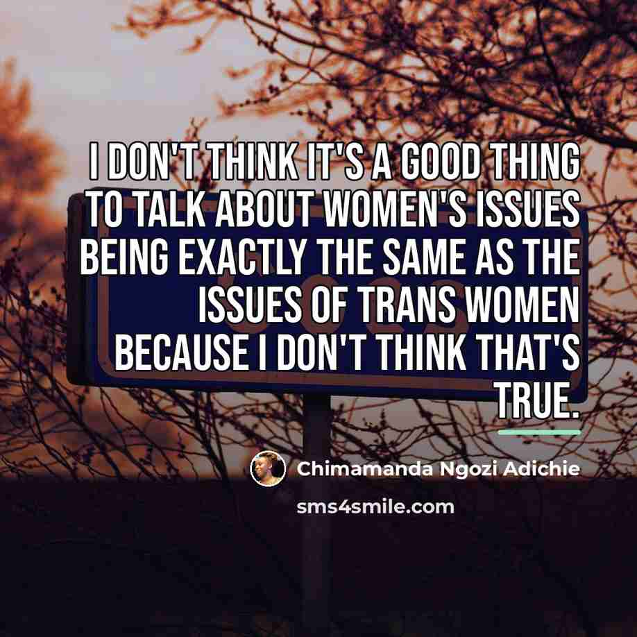 “I don't think it's a good thing to talk about…” quote by Chimamanda Ngozi Adichie