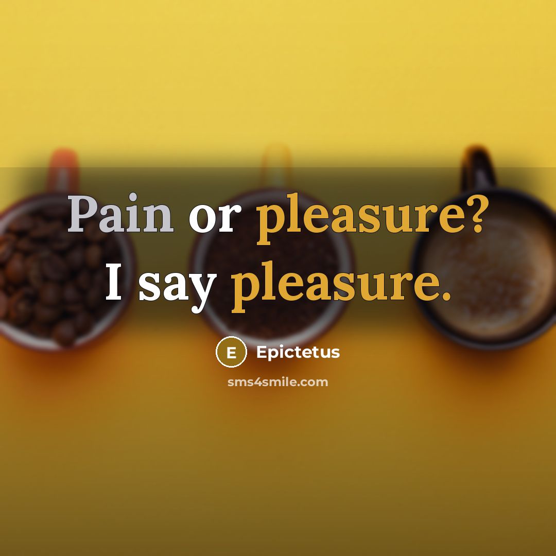 “Pain or pleasure? I say pleasure.…” quote by Epictetus