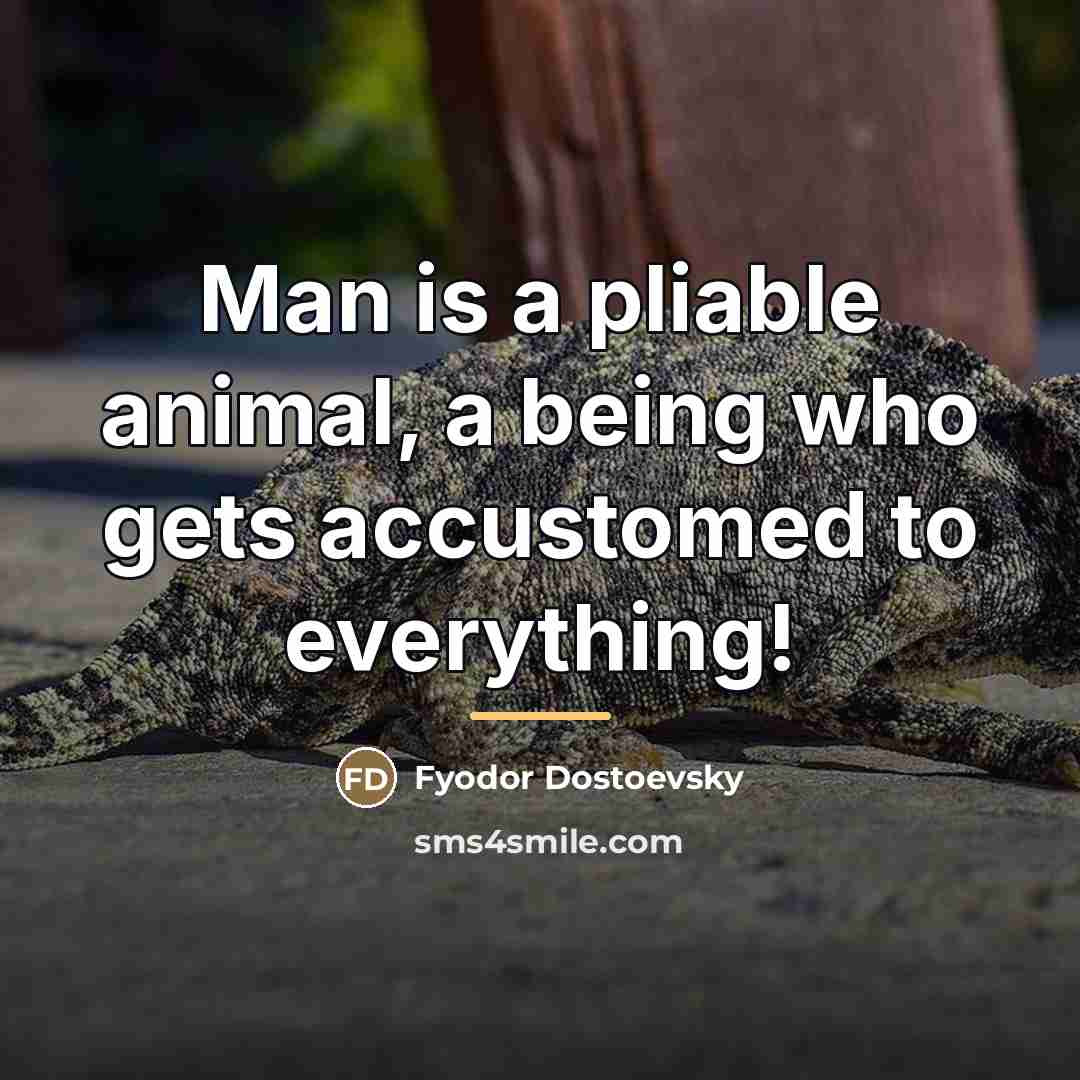 “Man is a pliable animal, a being who gets accustomed…” quote by Fyodor Dostoevsky