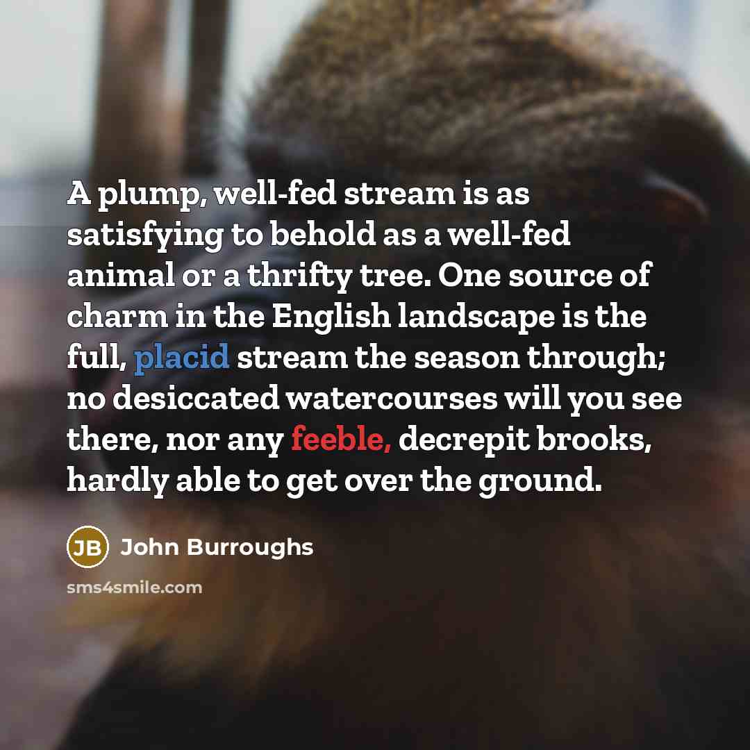 “A plump, well-fed stream is as satisfying to behold as…” quote by John Burroughs