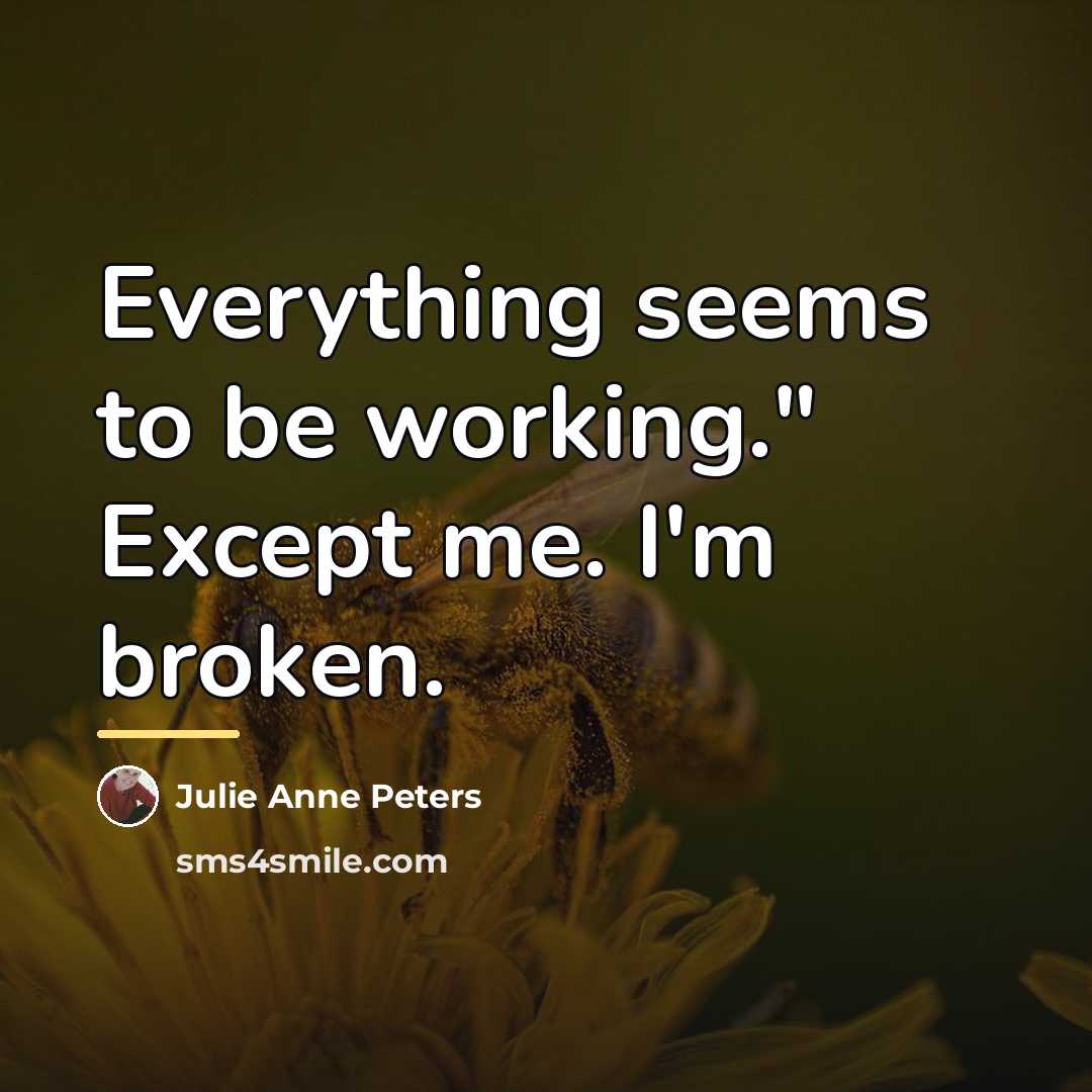 “Everything seems to be working." Except me. I'm broken.…” quote by Julie Anne Peters