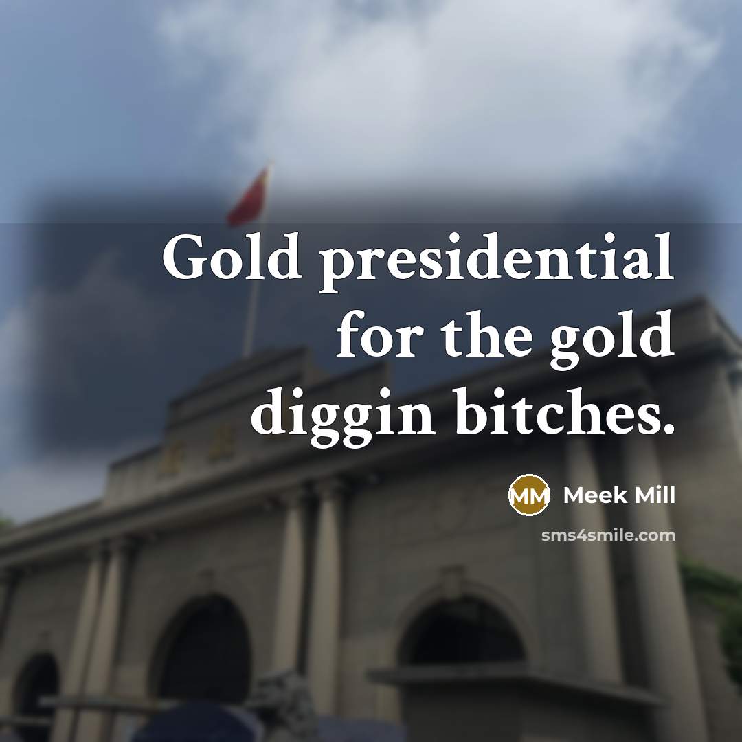 “Gold presidential for the gold diggin bitches.…” quote by Meek Mill