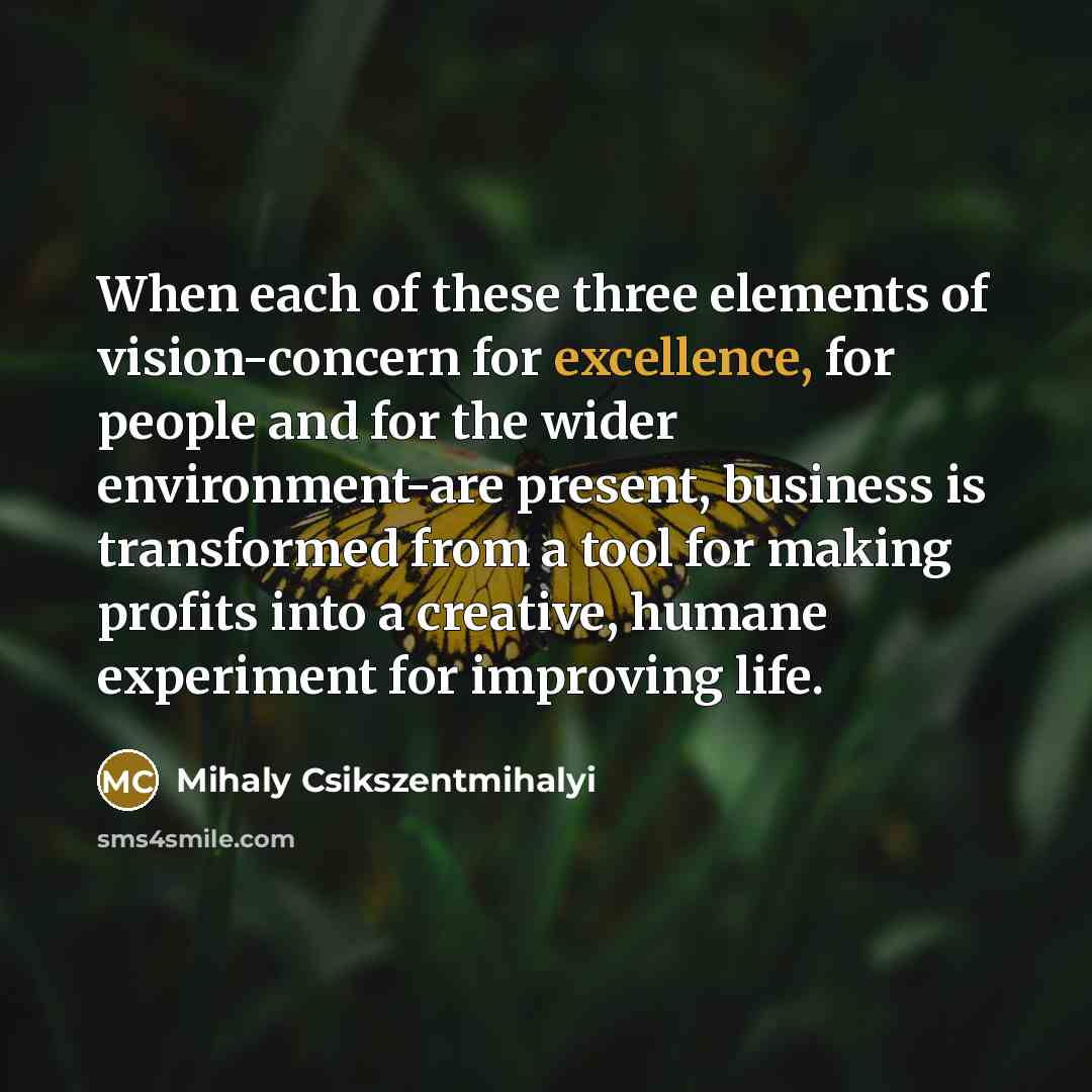 “When each of these three elements of vision-concern for excellence,…” quote by Mihaly Csikszentmihalyi