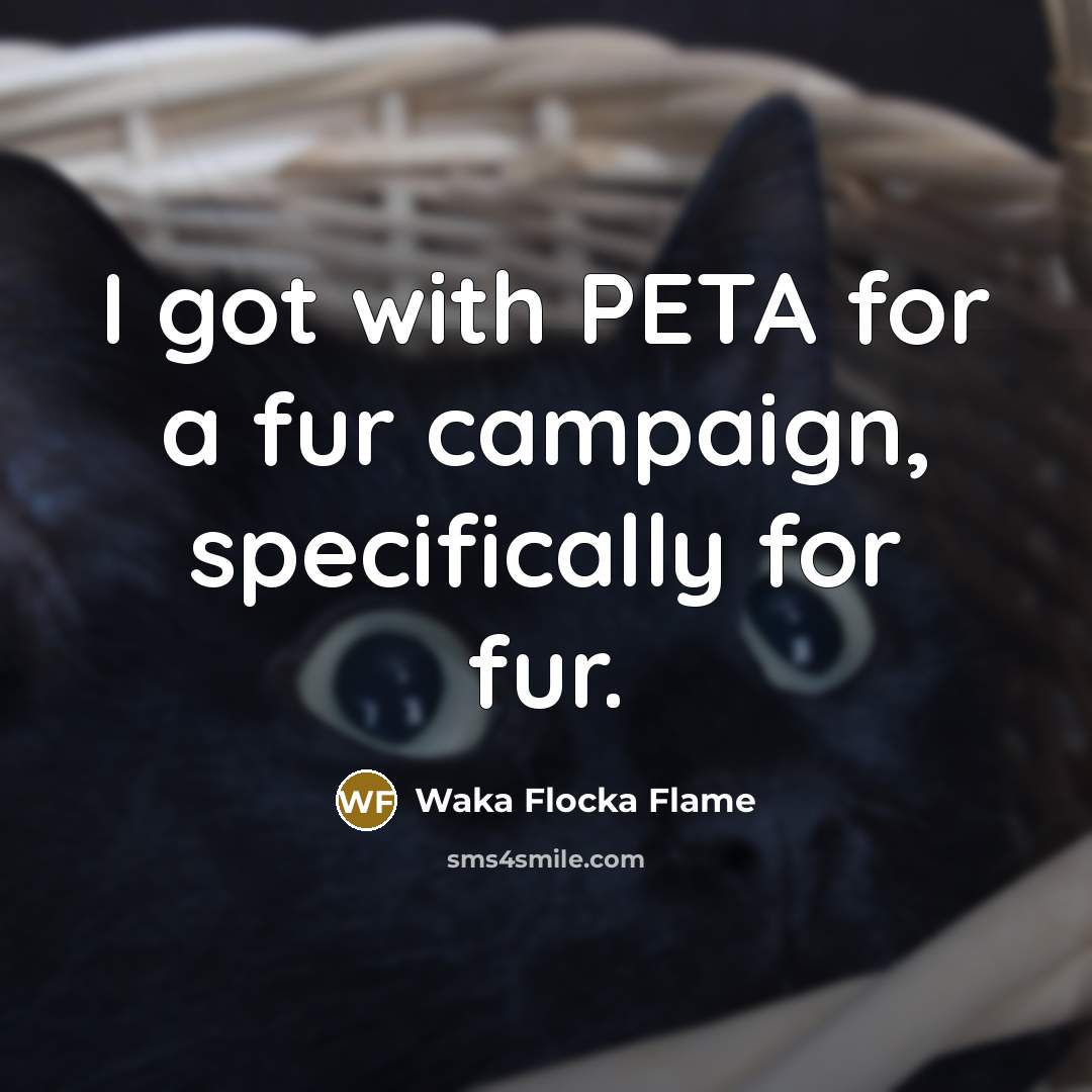 “I got with PETA for a fur campaign, specifically for…” quote by Waka Flocka Flame
